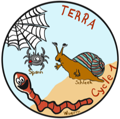 Grupp Terra (C1)